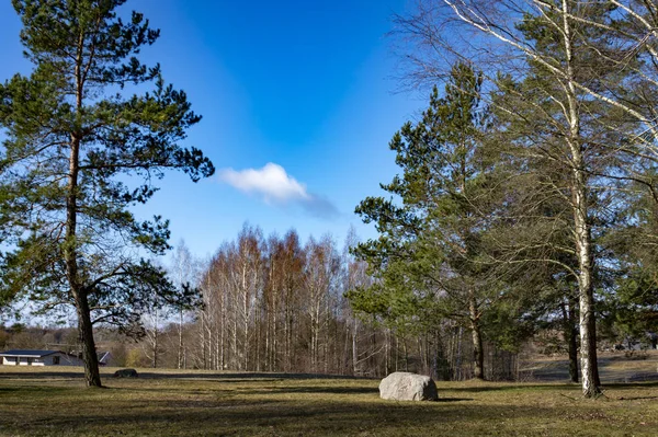 Bir göl kenarında sakin park