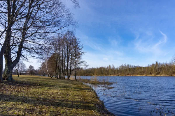 Vandringsleden vid en sjö genom vinter träd — Stockfoto