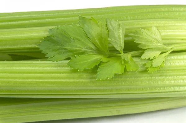 Celerová nať a stonku v zblízka — Stock fotografie