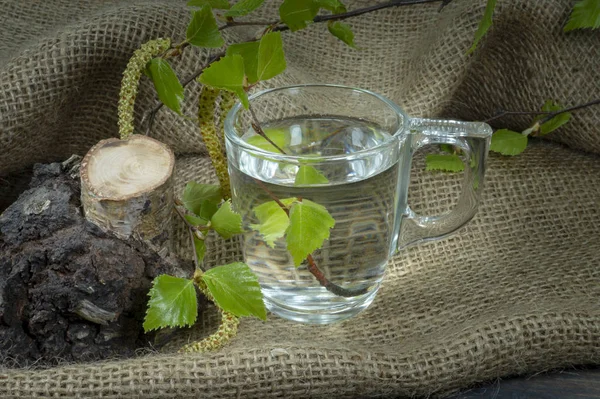 Björkkvist med löv och mugg med Björk sav — Stockfoto