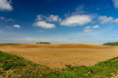 Çayırda tepeler, çiftlik alanı ve karahindiba