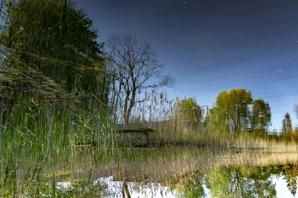 Tranquil spring lake with reflection of greenery — Stock Photo, Image