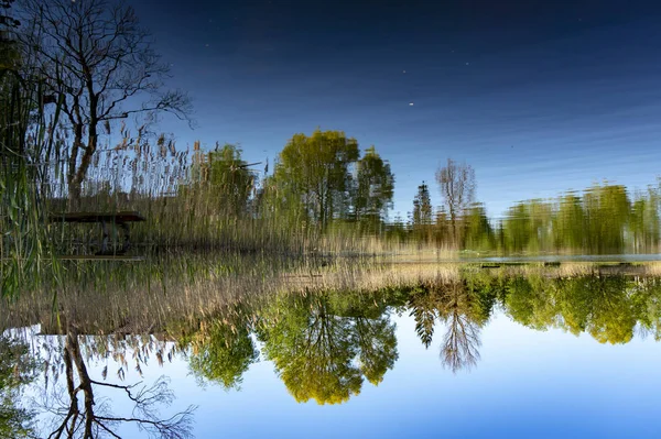 Tranquil spring lake with reflection of greenery — Stock Photo, Image