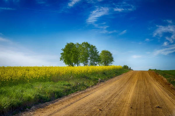 Route de campagne en gravier à travers les champs agricoles — Photo