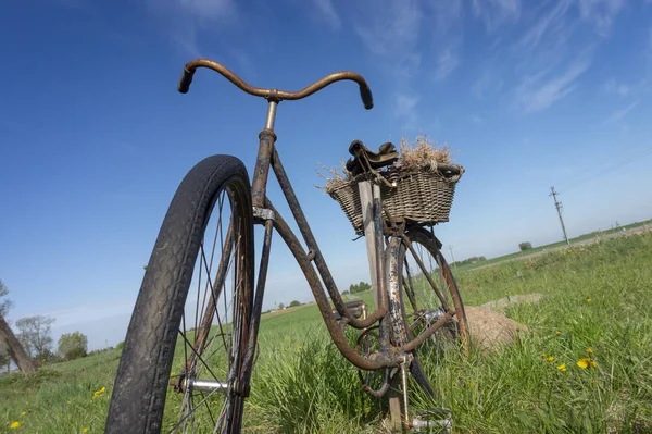 Rusty bicicleta velha em um prado do campo — Fotografia de Stock