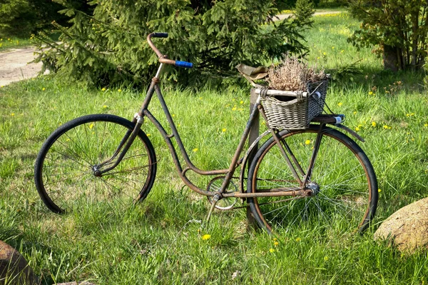 Rezavé staré kolo na louce — Stock fotografie