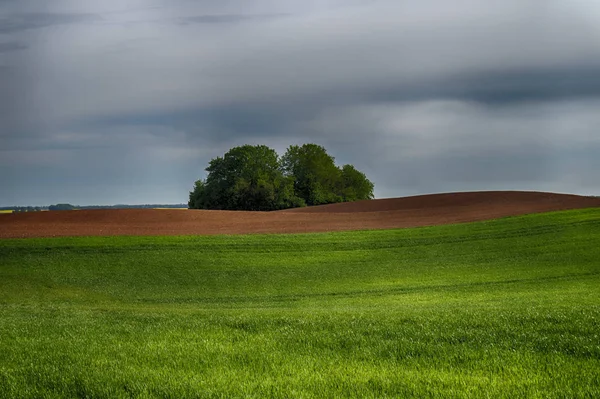 Jordbruks landskap med böljande kullar — Stockfoto