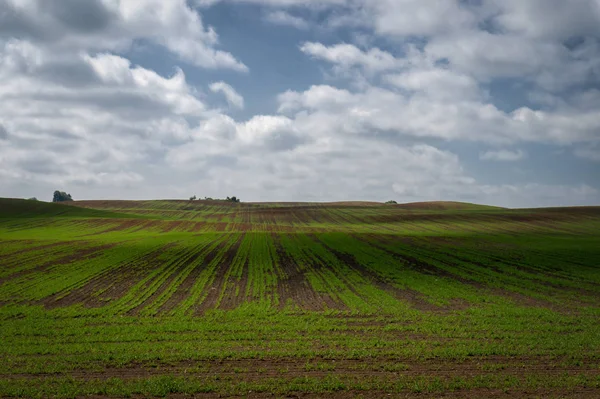 Agrarlandschaft mit sanften Hügeln — Stockfoto