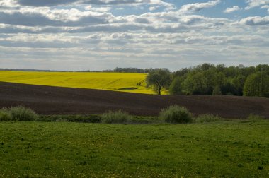 Tepeler ile tarımsal peyzaj