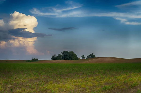 Pastos verdes con colinas onduladas al atardecer —  Fotos de Stock