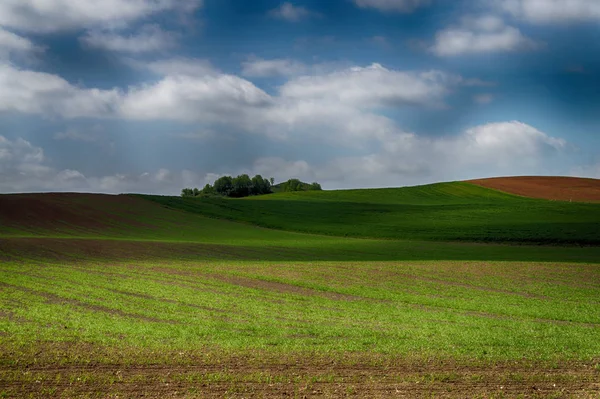 Krajobraz rolniczy z pagórkami — Zdjęcie stockowe