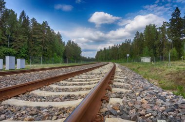 Ormanda kıvrımlı demiryolu