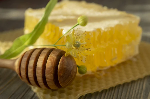 Bloque de miel de peine con flor de tilo y utensilio — Foto de Stock