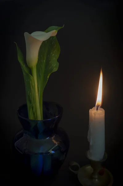 Close up of orange candle flame and lily flowers — Stock Photo, Image