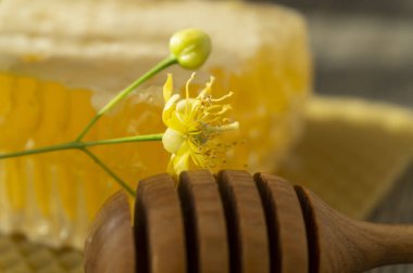 Ihlamur çiçeği ve mutfak eşyaları ile tarak bal Blok