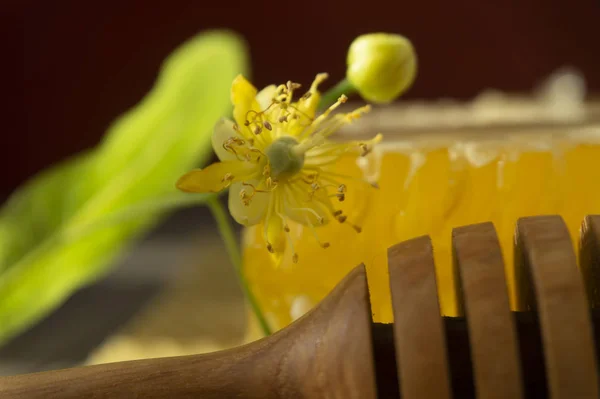 Bloque de miel de peine con flor de tilo y utensilio — Foto de Stock