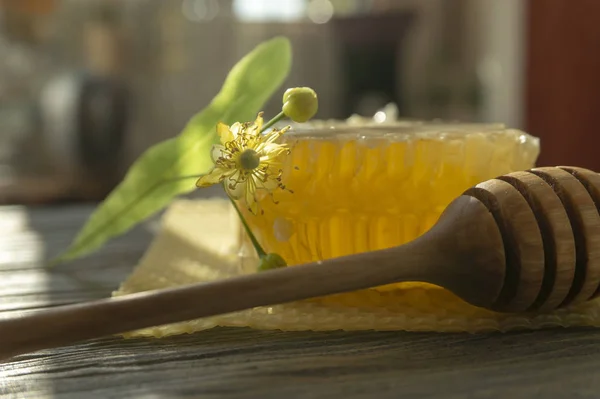 Bloque de miel de peine con flor de tilo y utensilio — Foto de Stock