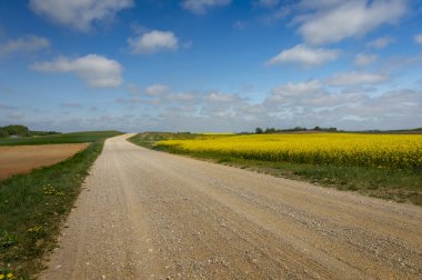 Çiftlik alanlarından çakıl kır yolu