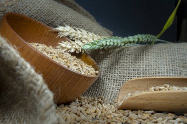 Kulakları olan bir kaseden dökülen buğday tohumları