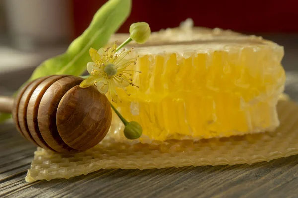 Bloco de mel de pente com flor de tília e utensílio — Fotografia de Stock