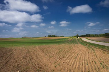 Çiftlik tarlaları ve çayır ile çakıl ülke yolu
