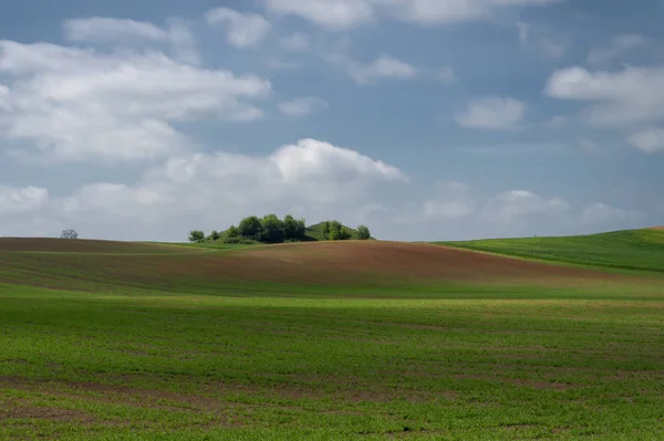 Paysage agricole avec collines — Photo