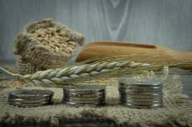 Hububat pazarı ve fiyatları kavramı