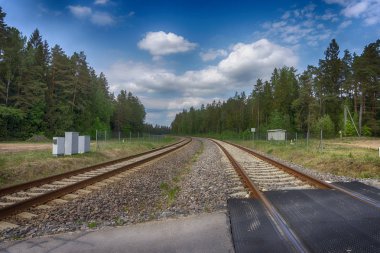 Ormanda kıvrımlı demiryolu