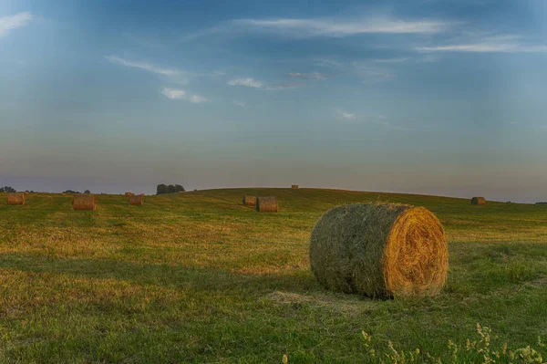 Duże okrągłe bale siana na polu gospodarstwa o zachodzie słońca — Zdjęcie stockowe