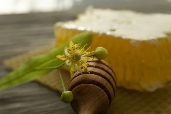 Block av kam honung med lindblomma och redskap — Stockfoto