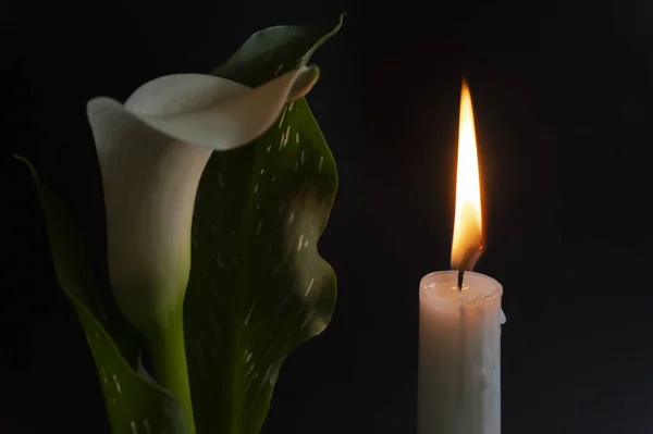 Primo piano di fiamma di candela arancione e fiori di giglio — Foto Stock