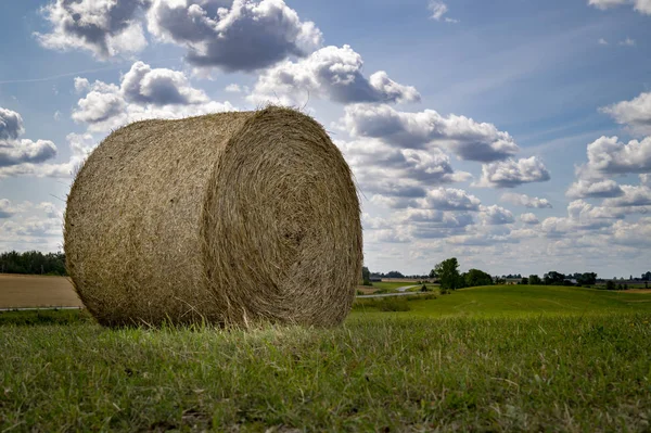 Świeżo zebrane okrągłe bale siana w polu — Zdjęcie stockowe