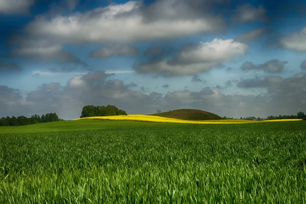 Paysage agricole avec collines — Photo