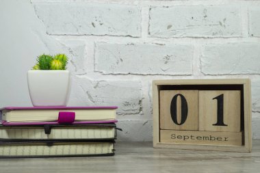 Kitaplar ve saksı bitki ile Eylül natürmort