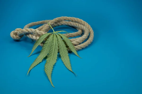 Natural hemp fiber rope and cannabis leaf