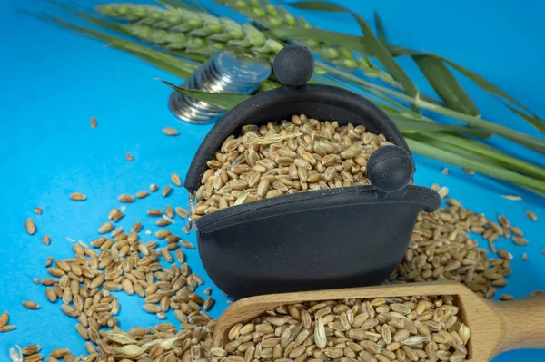 Wheat seeds spilling from scoop and purse