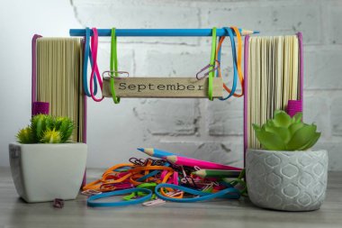 Saksı bitkileri ile renkli Eylül natürmort