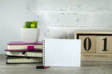 Kitaplar ve saksı bitki ile Eylül natürmort