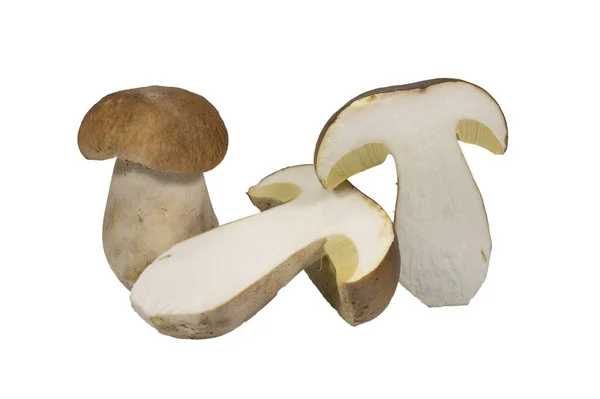 Целые и нарезанные наполовину Болетус грибы на белом — стоковое фото