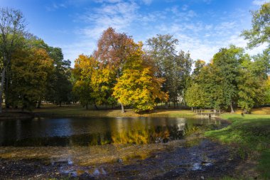 Göldeki renkli sonbahar ağaçlarının yansıması.