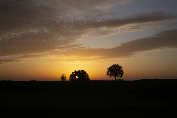 Beautiful dark sunset with tree silhouettes — Stock Photo, Image