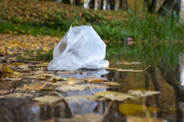 Havuzun sakin sularında yüzen beyaz plastik torba.
