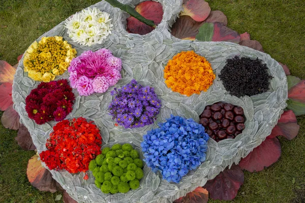 Artist palette made of garden flowers — Stock Photo, Image