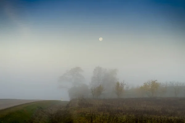 Frühmorgendlicher Sonnenuntergang auf dem Feld — Stockfoto