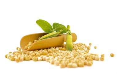 Kurumuş bezelyeler, beyaz arka planda izole edilmiş kabukları olan taze bitkilerden dökülüyor.