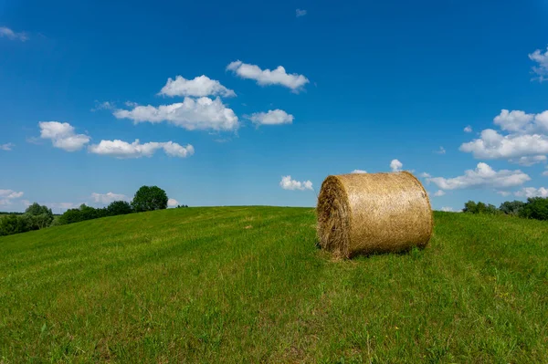 夏は畑や牧草地で新鮮に収穫された円形の干し草を 農業風景の中に曇り空の下で低い角度で眺めます — ストック写真