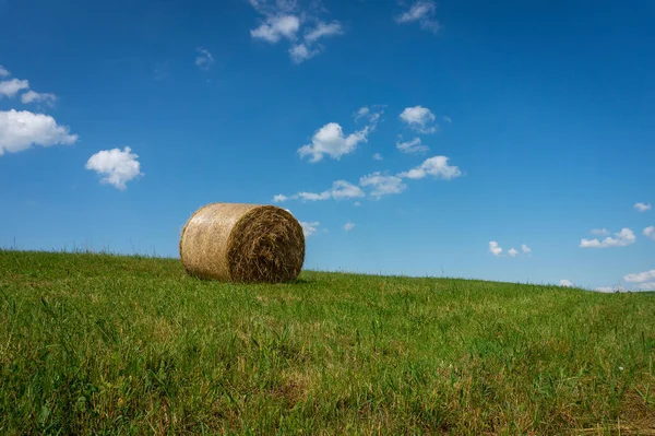 夏は畑や牧草地で新鮮に収穫された円形の干し草を 農業風景の中に曇り空の下で低い角度で眺めます — ストック写真