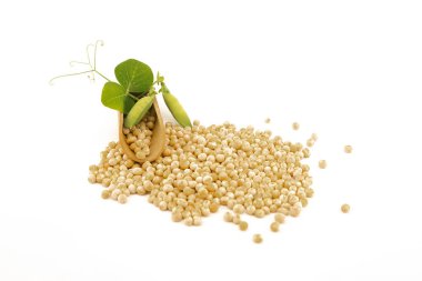 Kurumuş bezelyeler, beyaz arka planda izole edilmiş kabukları olan taze bitkilerden dökülüyor.