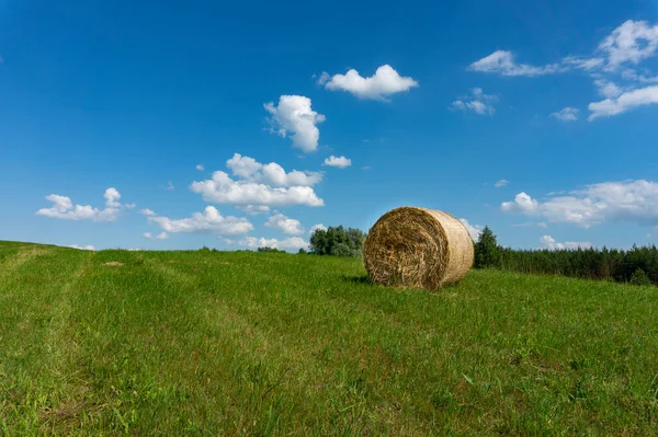 Fardo Feno Circular Recém Colhido Campo Pastagem Verão Uma Visão — Fotografia de Stock