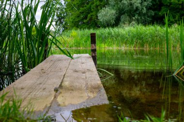 Huzurlu bir gölün kıyısında eski bir ahşap iskele ve kıyıda yabani otlar ve suda yansıyan yansımalar.